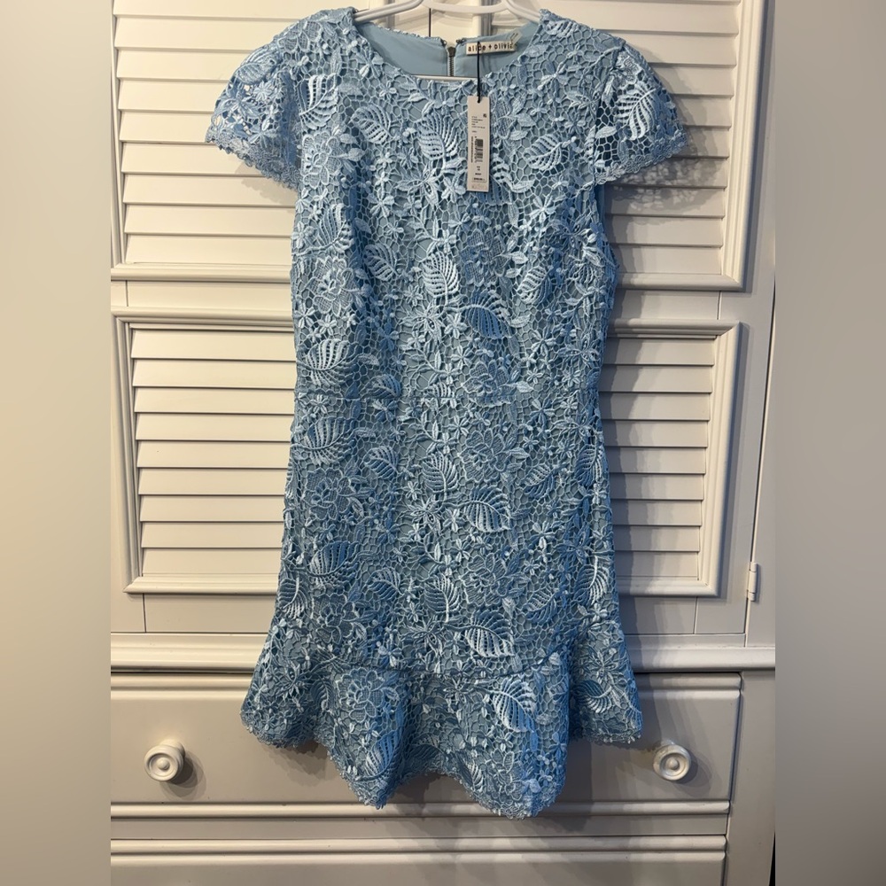 Alice + Olivia Rapunzel Lace Mini Dress Icy Blue  (light blue) NWT Size 10 - Picture 10 of 17